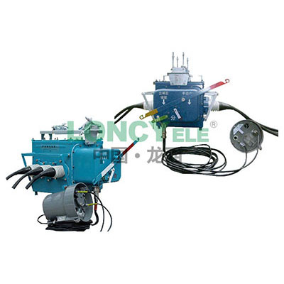 FZW28-12F outdoor high-voltage boundary vacuum load switch